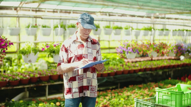 园丁在温室中检查盆栽植物视频素材