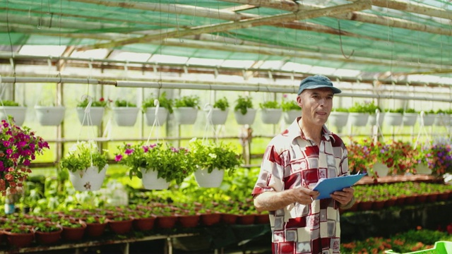 园丁在温室中检查盆栽植物视频素材