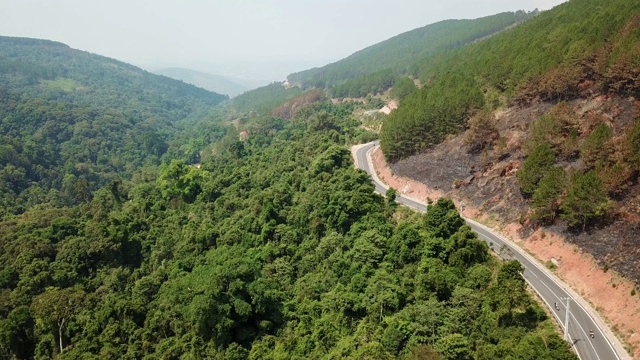 无人机鸟瞰图森林道路视频素材