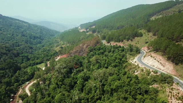 无人机鸟瞰图森林道路视频素材