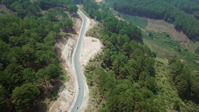 无人机鸟瞰图森林道路视频素材