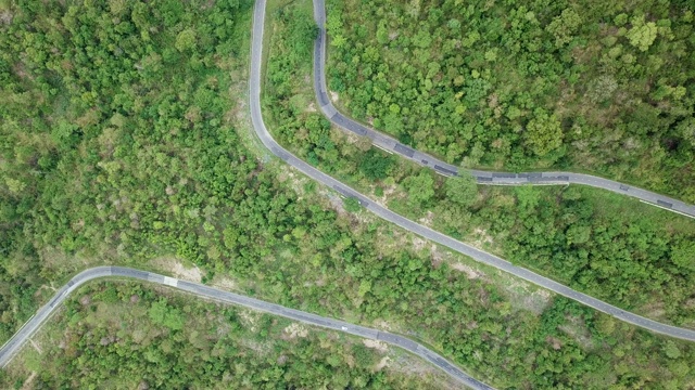 无人机鸟瞰图森林道路视频素材