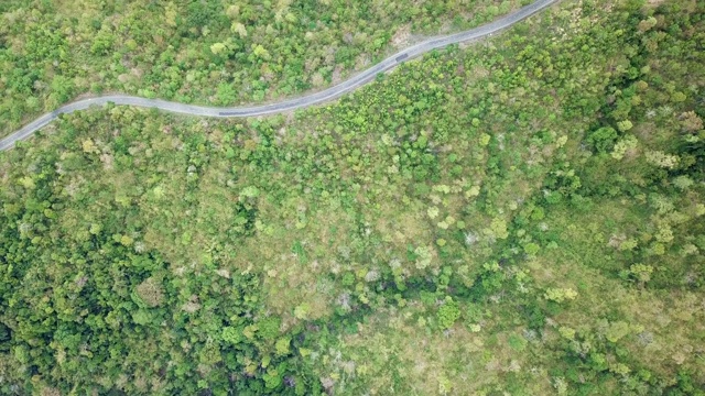 无人机鸟瞰图森林中弯曲的道路视频素材