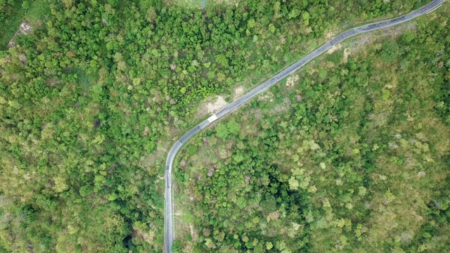 无人机鸟瞰图森林中弯曲的道路视频素材