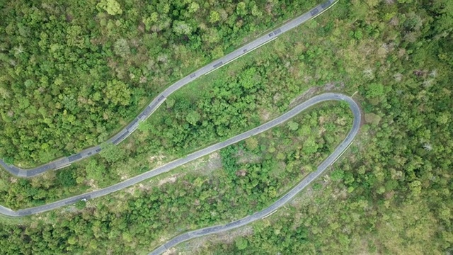 无人机鸟瞰图森林道路视频素材