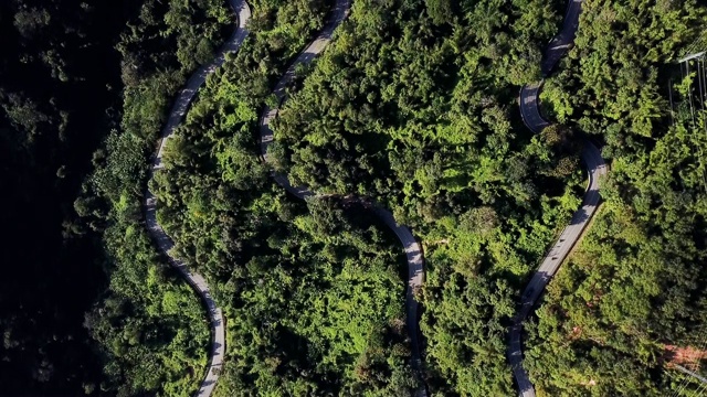 鸟瞰图森林中的道路视频素材