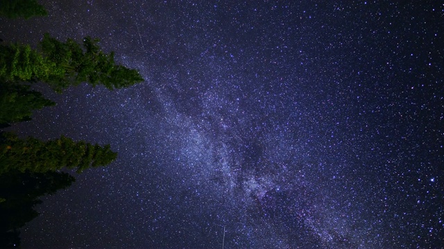 在森林树木上方旋转的银河星群流星雨(延时)视频下载