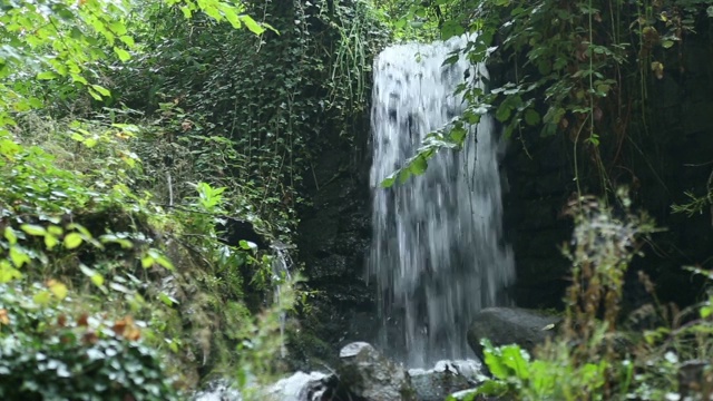 美丽的山溪5视频素材