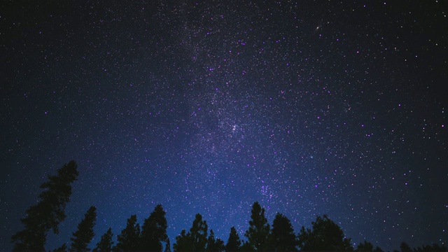 银河的时间流逝和森林中的流星视频下载