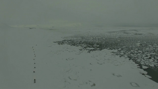 一队人骑着雪地摩托穿过北极融化的冰视频素材