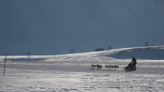 在北极圈里，狗拉着雪橇拉人视频素材