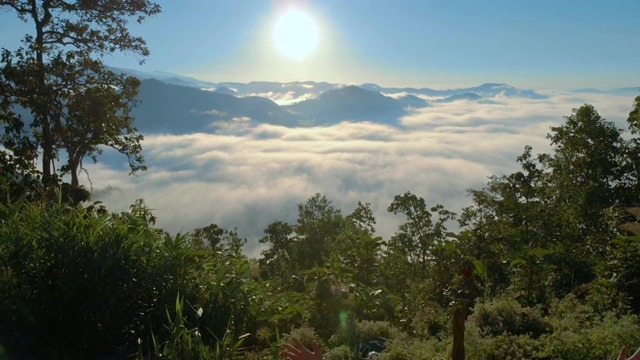 空中男子站在山上，在晨曦中举起双手视频素材