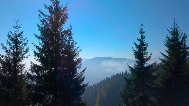 在晨雾缭绕的山林上空飞翔视频素材