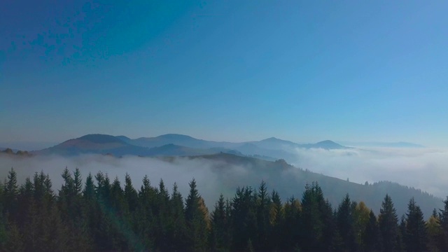 在晨雾缭绕的山林上空飞翔视频素材