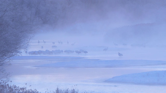 日本，北海道视频素材