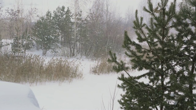 雪在河的背景上。视频素材