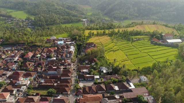 热带景观与农业土地在印度尼西亚视频素材