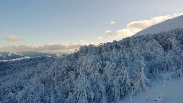 冰冻的冬季山林视频素材