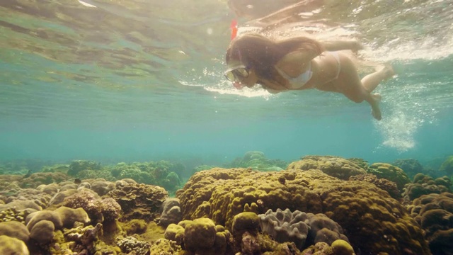 年轻女子戴着面罩在透明的海水中浮潜。水下观察妇女浮潜在海洋面罩和通气管。美丽的海洋世界。水的运动。视频素材