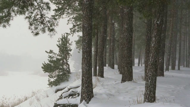 雪落在河岸上。视频素材