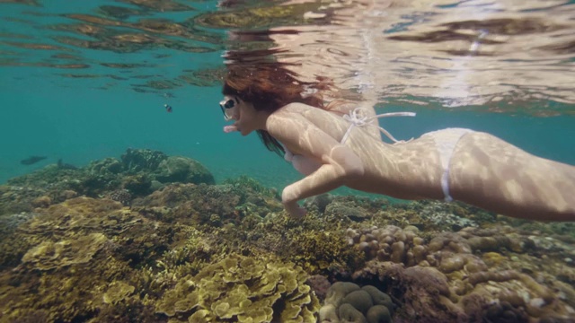 美丽的女人在面具和浮潜在透明的海水线的看法。戴着面罩在海水里游泳的女人。在水下看珊瑚礁和鱼。视频素材