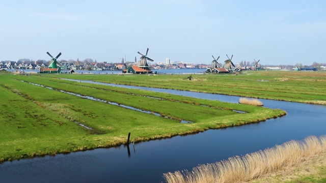 Zaanse Schans的风车视频素材