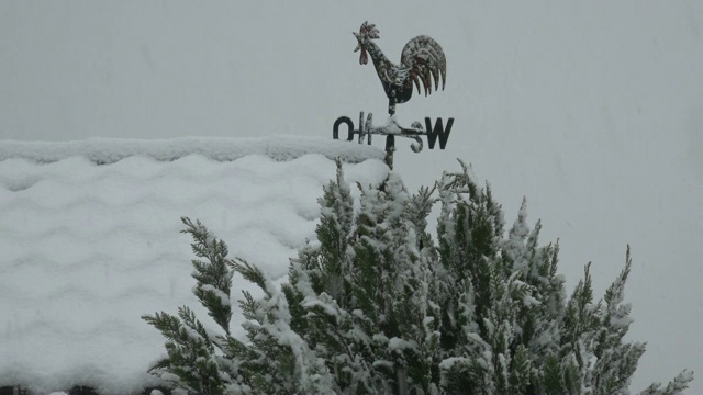 风向标处正在下雪视频素材