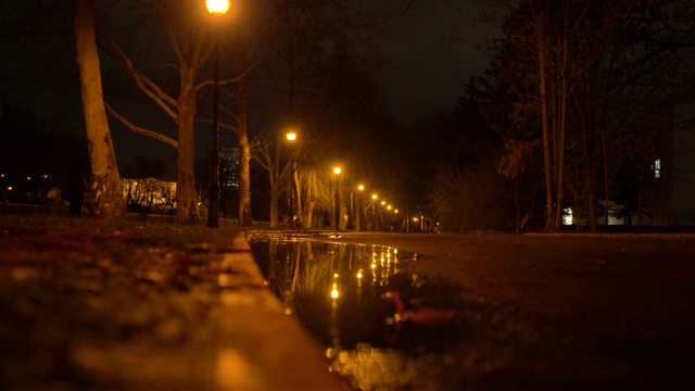 深秋的夜晚，街灯倒映在空荡荡的小巷上的水坑里视频素材