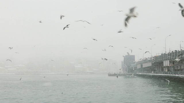 下雪天在İstanbul，土耳其视频素材