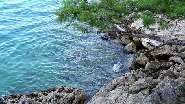 在克罗地亚的岩石海滩上冲浪视频素材