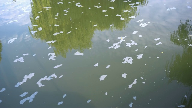 夏天河水的运动视频素材