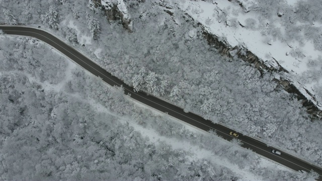 雪林之路视频素材