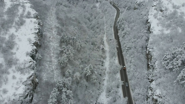 雪林之路视频素材