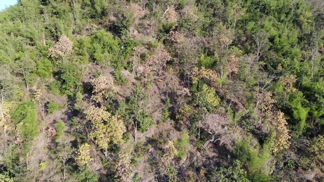 斯利那加林德大坝大水库的山景视频素材