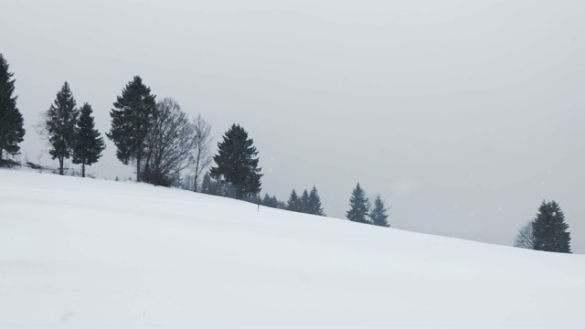 白雪覆盖的山与树视频素材