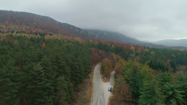 飞过高山和森林视频素材