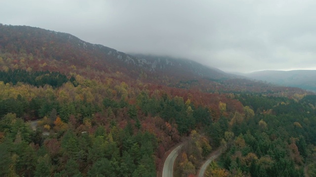 飞过高山和森林视频素材