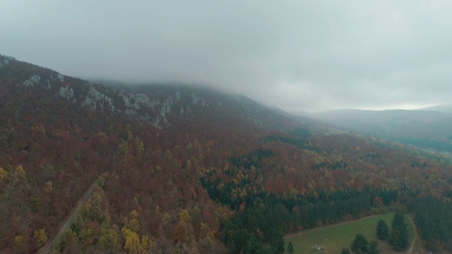 飞过高山和森林视频素材