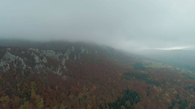 飞过高山和森林视频素材