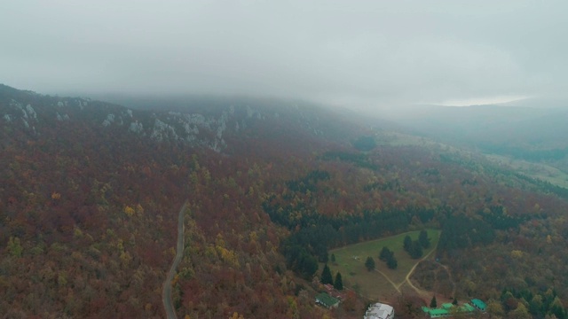 飞过高山和森林视频素材