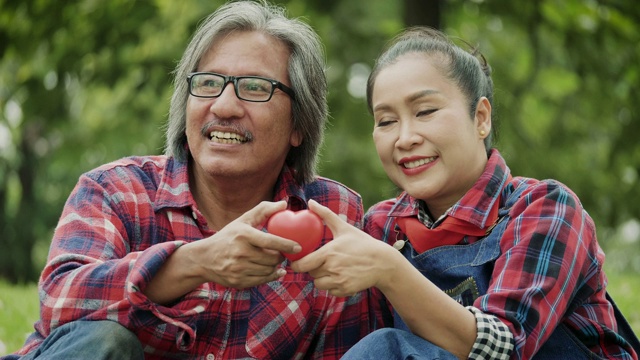 快乐的亚洲成熟夫妇放松和花时间一起在公园户外视频素材