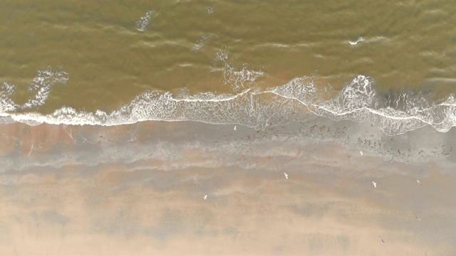 4K沙滩天线，海浪涌向岸边，俯瞰。北海的绿水和灰色的海沙视频素材