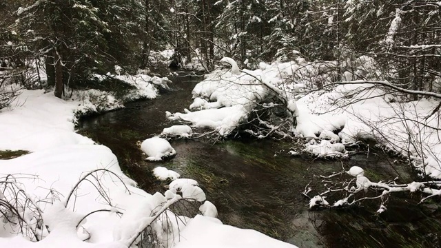 流动的河流和雪域森林景观视频素材