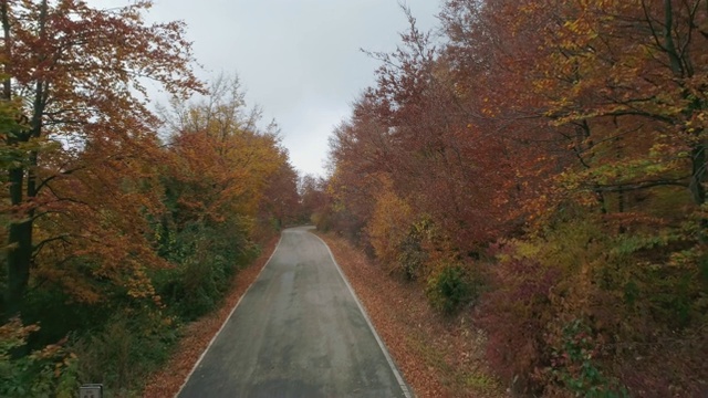 秋天的山路视频素材