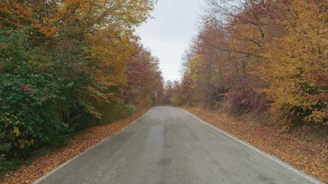 秋天的山路视频素材