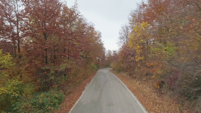 秋天的山路视频素材