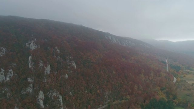 飞过高山和森林视频素材