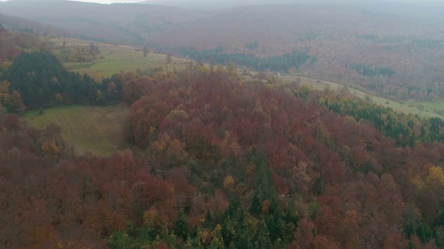 飞过高山和森林视频素材