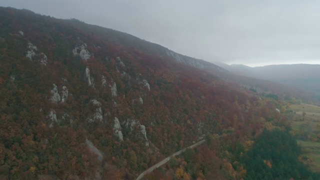 飞过高山和森林视频素材