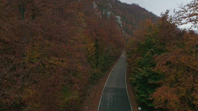 秋天的山路视频素材